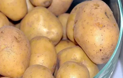 Насіннєва картопля на посадку Карелія, кг