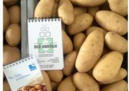 Насіннєва картопля Гранада 2,5 кг (1 репродукція)