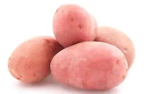 Насіннєва картопля Беллароза (Бела Роса) 2,5 кг