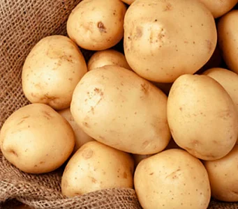 Картопля "Рів'єра" насіннєва рання 5кг