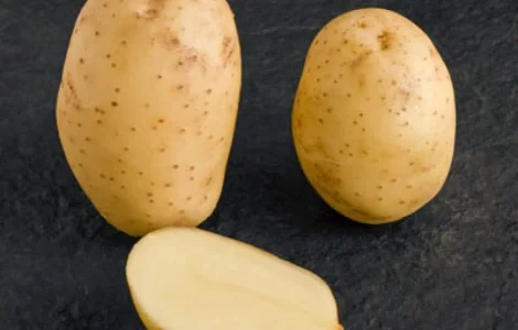 Насіннєва картопля Мелоді, 2 репродукція