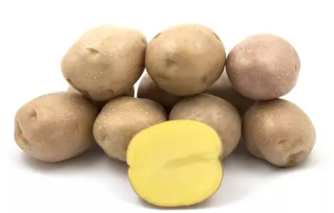 Семенная картофель Беллароза (Бела Роса)
