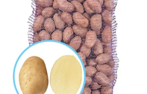 Рання картопля на посадку Арізона, Голландія