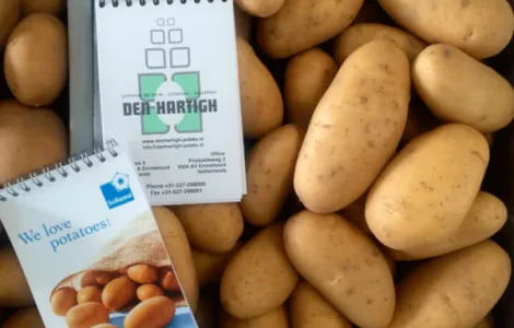 Насіннєва картопля Гранада