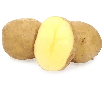 Картопля на посадку Адретта