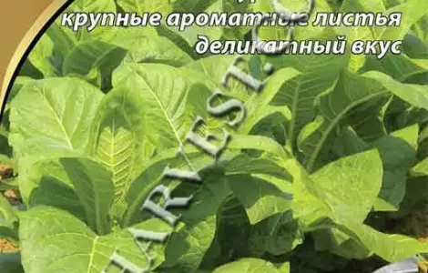 Насіння тютюну "Вірджинія 201" 0.1 г