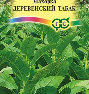 Насіння тютюну курильного Махорка Сільський