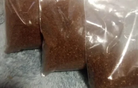 Продам насіння тютюну