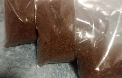 Продам насіння тютюну