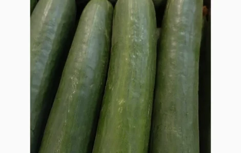 Куплю огурец