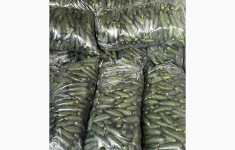 Огірок Румунія