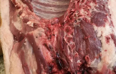Домашняя свинина, мясо и сало на продажу