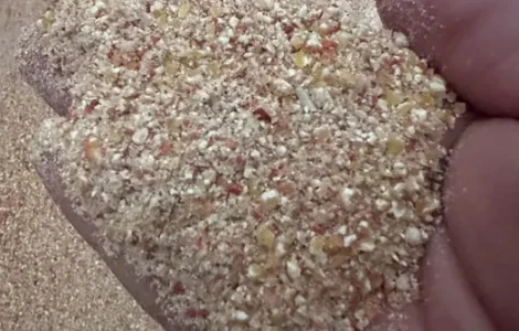 Пропонується зерно та зерноотходи