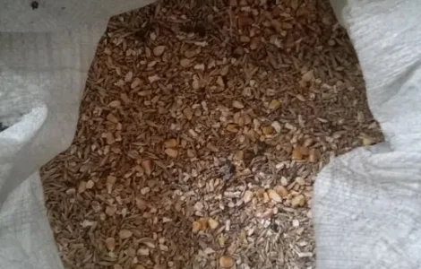 Пропонується зерно, зерновідходи, комбікорм та висівка