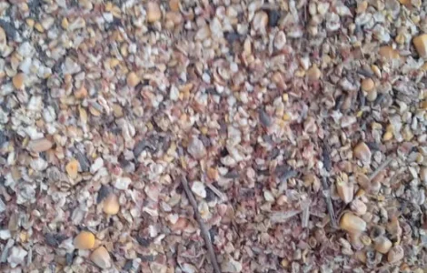 Продаж зерноотходу кукурудзи