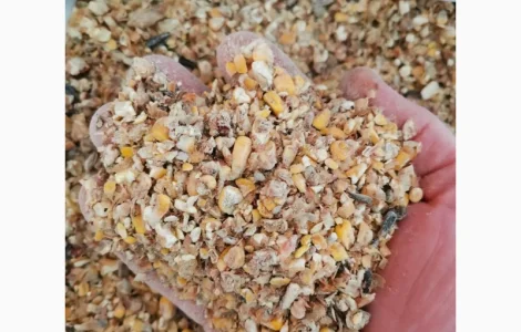 Зерновідходи кукурудзи на продажу