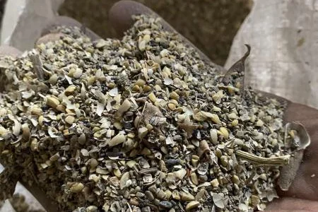 Відходи сої – якісна продукція для годівлі