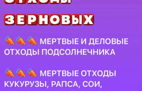 Покупаем отходы зерновых (кукуруза)