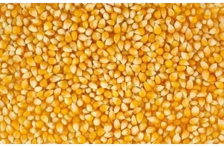Отходы кукурузы (битые половинки)