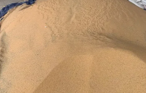 Корм для тварин: пшениця, овес, кукурудза, горох