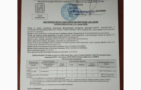 Продаж цибулі перо