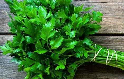 Продам петрушку