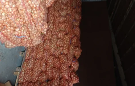 Продам лук Штудгарт на перо