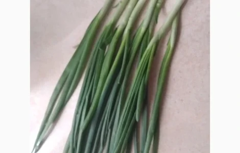 Зелена цибуля перо