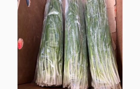 Продажа зеленой цибулі (перо) с договорной ценой