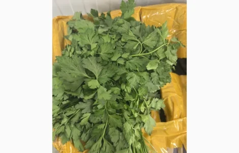 Кріп та Петрушка Узбекистан та Іран