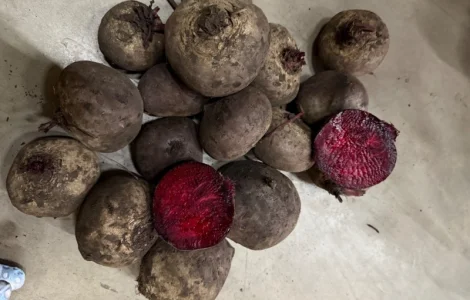 Продажа буряка