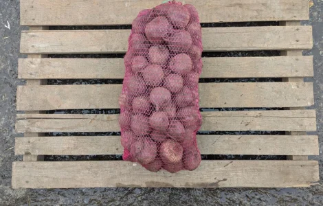 Продам столовий буряк (6-8 см)