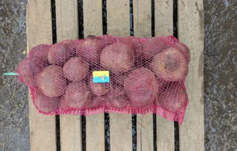 Продам столовий буряк (10+ см)