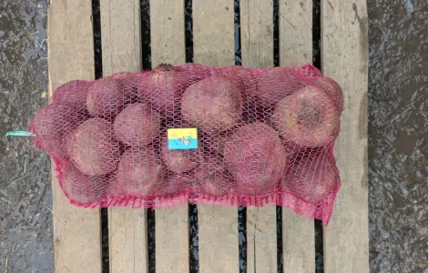 Продам столовий буряк (10+ см)