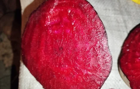 Купую буряк столовий на постійній основі