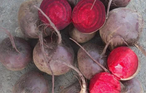 Продам буряк столовий