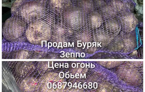 Продам Буряк сорт зеппо