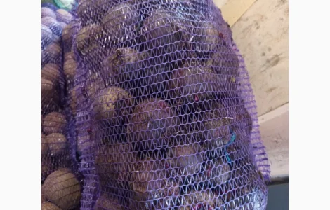 Продам буряк