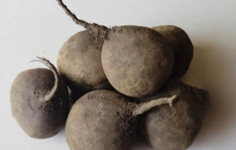 Продаж буряків 2 сорт оптом