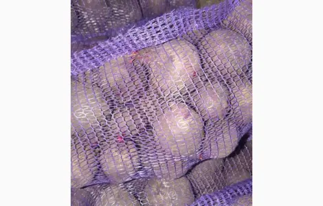 Продам буряк 2 сорт