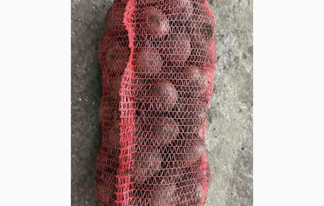 Продам буряк