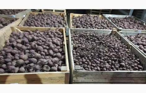 ФГ реалізує буряк (товарний