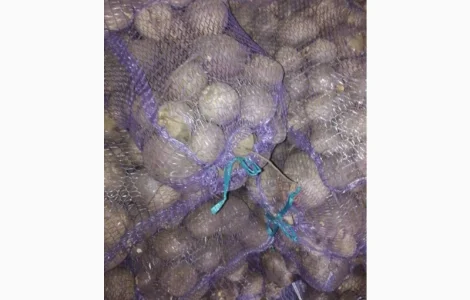 Продам столовий буряк