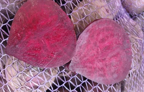 Продам буряк Зеппо F1 ціна договірна. Львівська обл