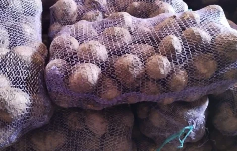 Продам буряк оптом 2025 р