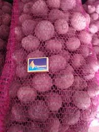 Буряк молодий | Одеса | прямий гурт | оптові продажі | овочі