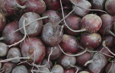 Куплю свеклу буряк на переработку