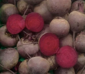 Бюджетний буряк