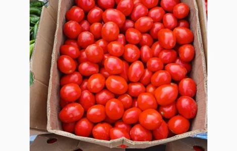 Продам томати