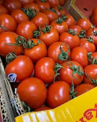 Помідор Ікрам Туреччина - гурт від 10 тонн
